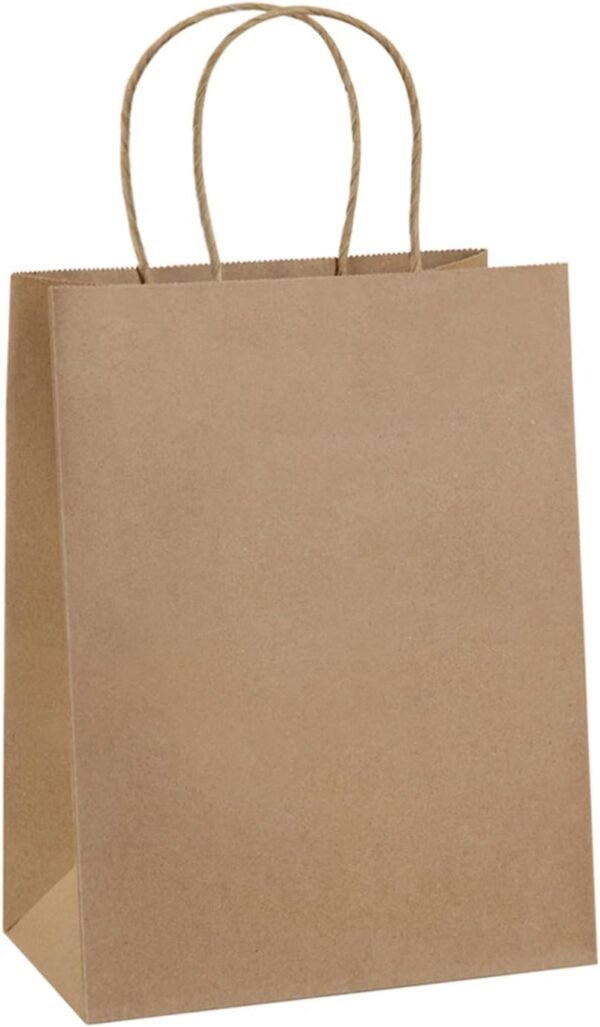 Recylcled Paper Gift bags